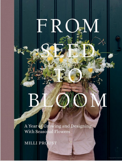 From-Seed-to-Bloom-bookcover.png