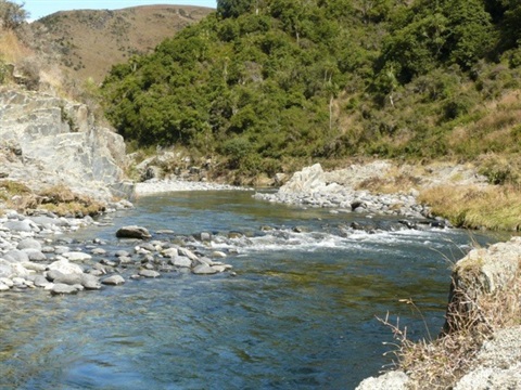 kakanui river.jpg