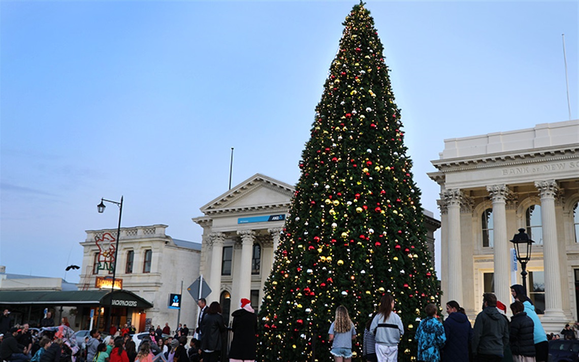 Light up the Tree Waitaki District Council