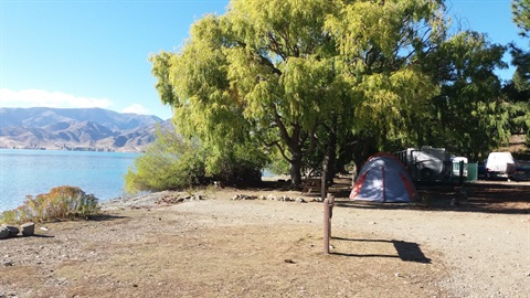 Tents under trees at Falstone Creek campsite