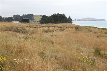 Erosion evident at the closed Hampden Landfill