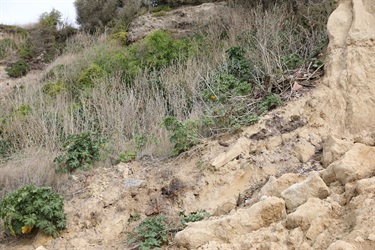 Some waste materials sticking out at the southern Beach Road site