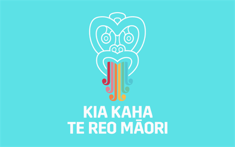 Tewikiotereomaori