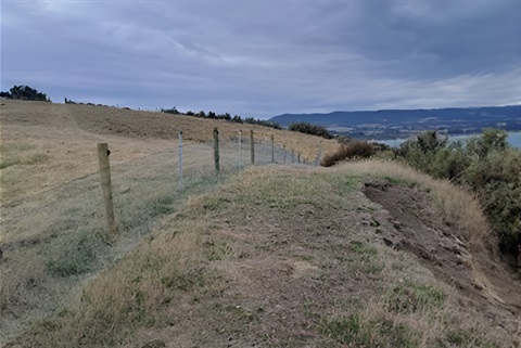 rabbit fence.jpg