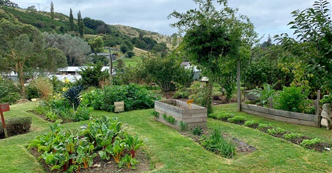 Waitaki Community gardens vegetable beds