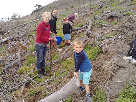 Cape Wanbrow Family Planting