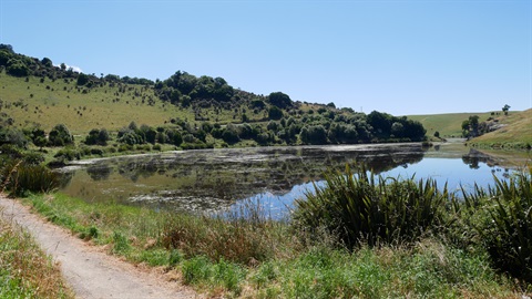 Devils Bridge Wetlands
