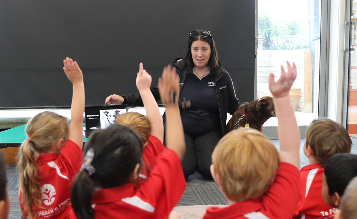 Dog Control Policy and By-Law Update on Council Agenda | Waitaki ...